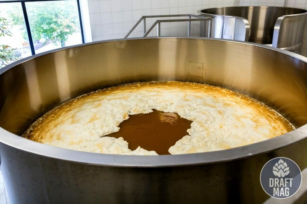How to Kettle Sour The Ultimate Guide to the Quick Souring Technique