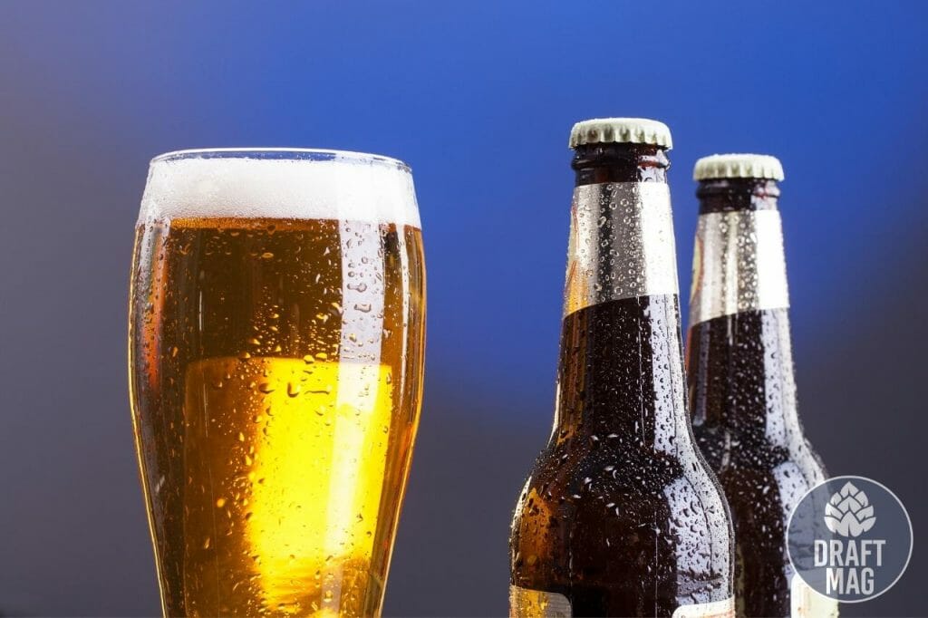 low-or-free-purine-beer-a-guide-to-the-best-beers-for-gout