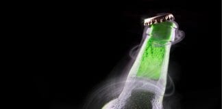 Trumer Pils: The Untold Secrets of the Perfect 400-Year-old Pilsner Trumer pils beer