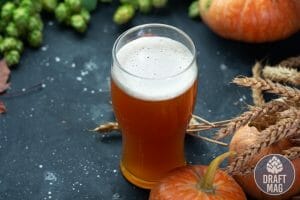 Best Beer for Thanksgiving: 16 Best Beers To Go With Your Turkey 