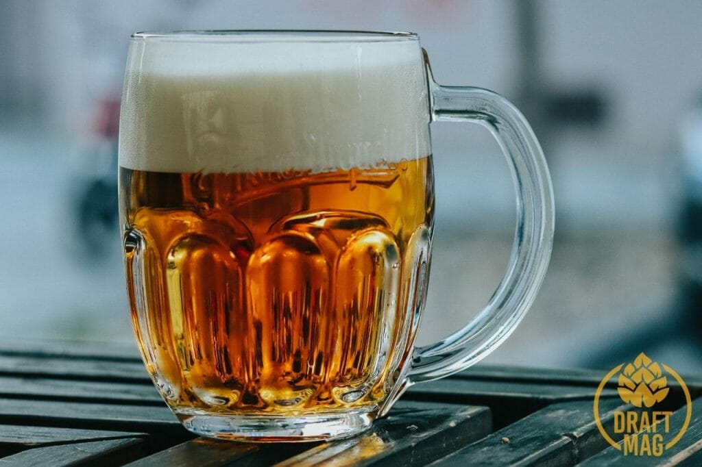 Best Pilsner Beer A Complete Guide to the Top Pilsner Beers