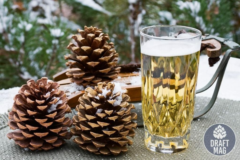 Best Winter Beers 12 Winter Beers That Beer Experts Swear By