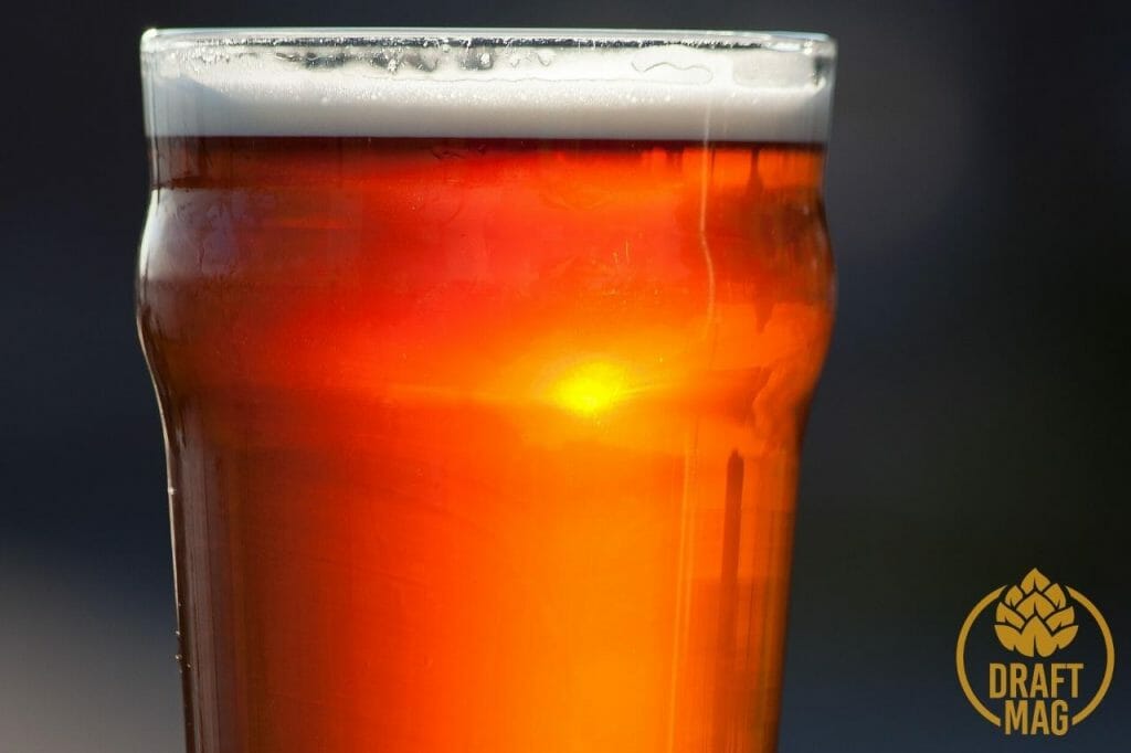 Dales Pale Ale A Complete Review of This Piney, Earthy and Floral Ale