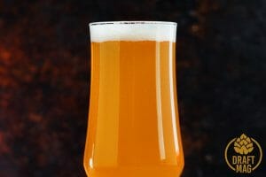 Focal Banger: A Refreshing IPA From the Alchemist Brewing Company
