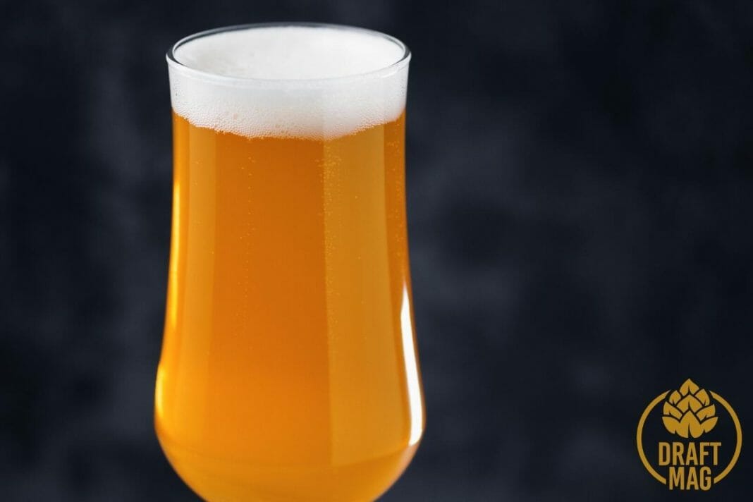 Focal Banger A Thorough Review of This Banging American IPA