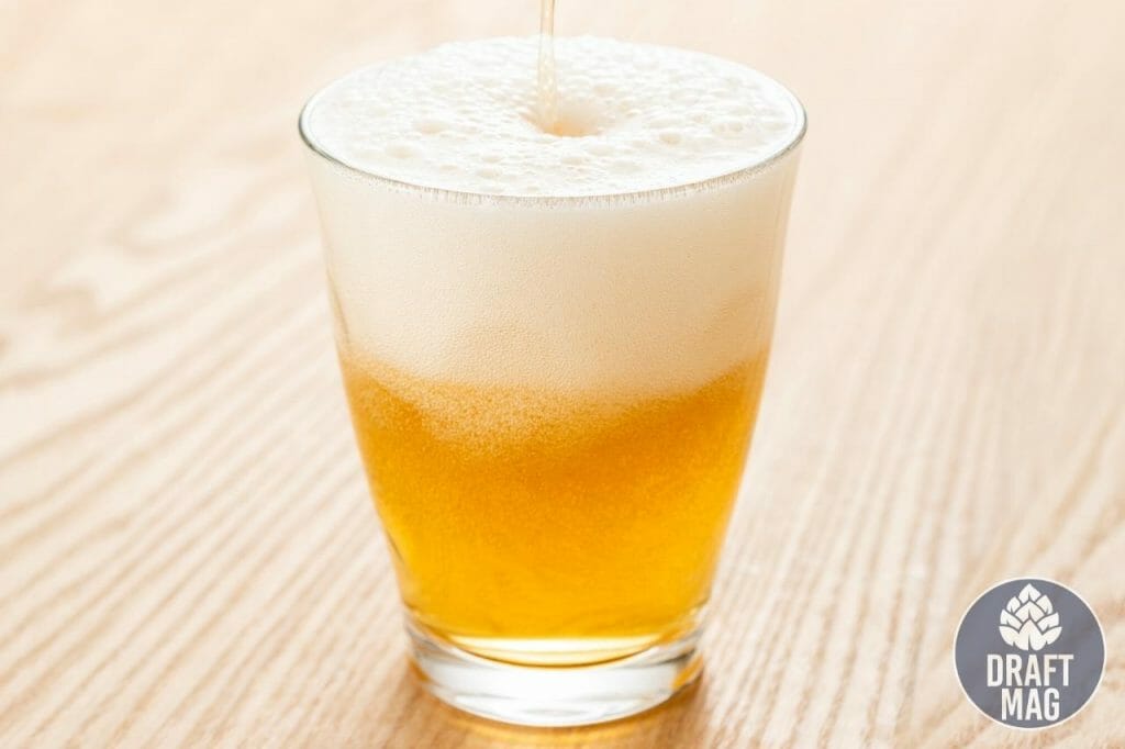 How To Make Non Alcoholic Beer at Home Everything You Need To Know