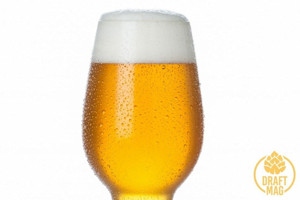 IPA vs Lager How To Differentiate Between These Two Types of Beers