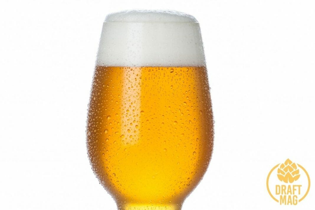 IPA vs Lager How To Differentiate Between These Two Types of Beers