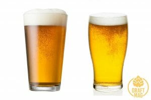 Ipa vs lager beer