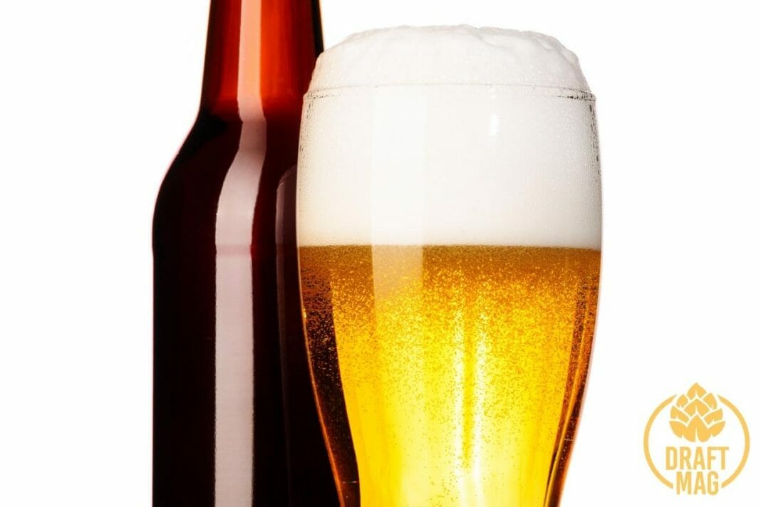 IPA vs Lager How To Differentiate Between These Two Types of Beers