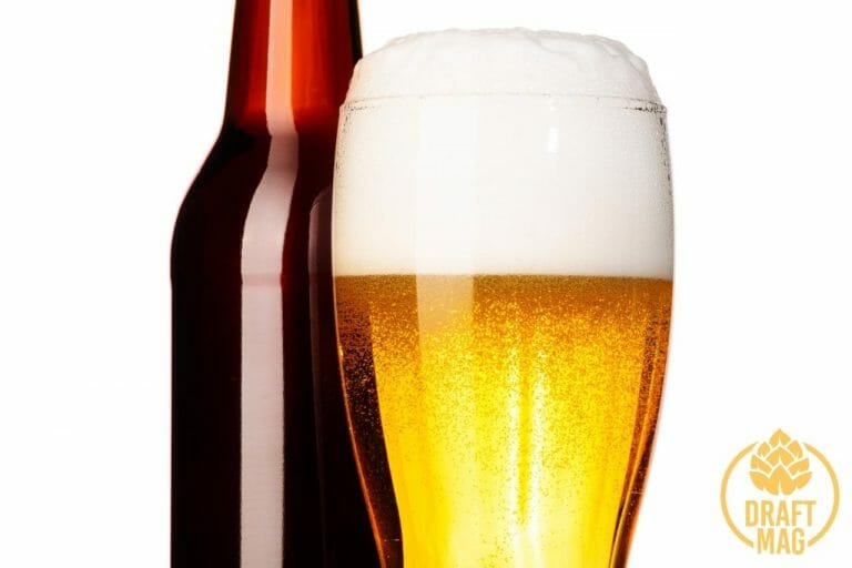 IPA vs Lager How To Differentiate Between These Two Types of Beers