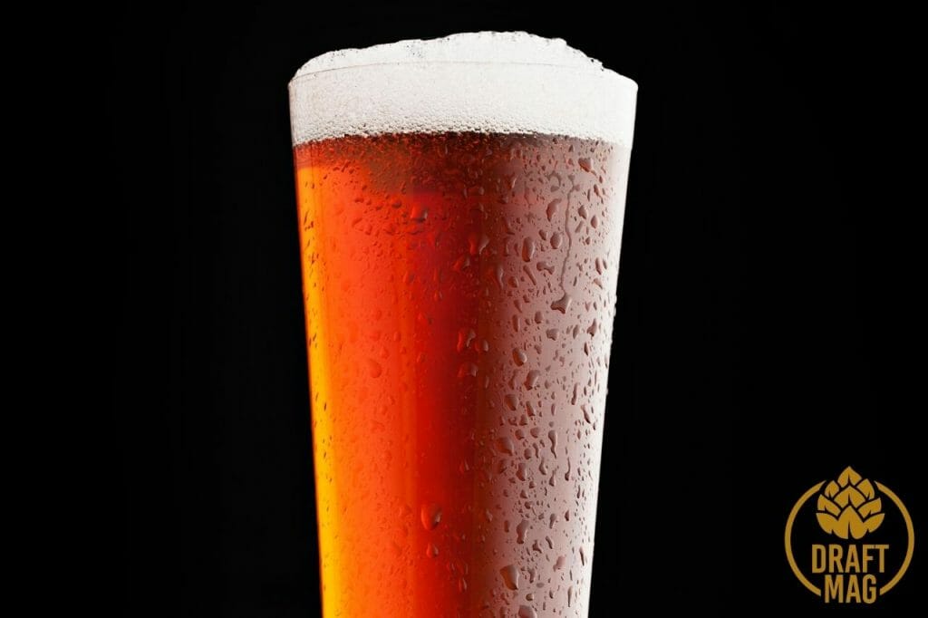 Amber Beer A Detailed Guide to the Most Unique Beer Style