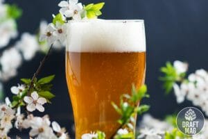 American IPA – What Makes It One of the Best-selling Beers in the US