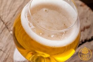 Brett Beer: A Comprehensive Guide to This Complex Beer Style
