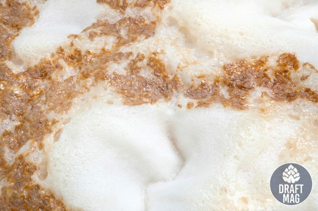 How Long to Ferment Beer A Timeline Guide To Fermenting