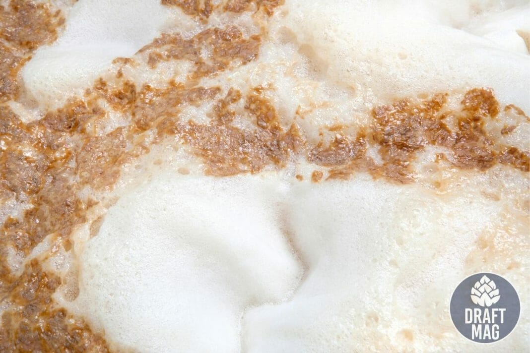 How Long to Ferment Beer A Timeline Guide To Fermenting