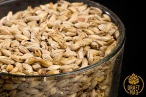 How to malt barley