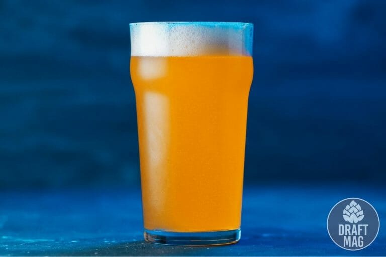 Low Calorie IPA A Guide to the Top Choices That Still Taste Great