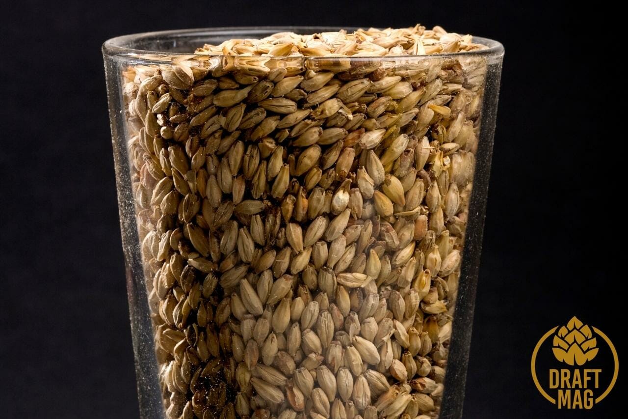 Malt barley