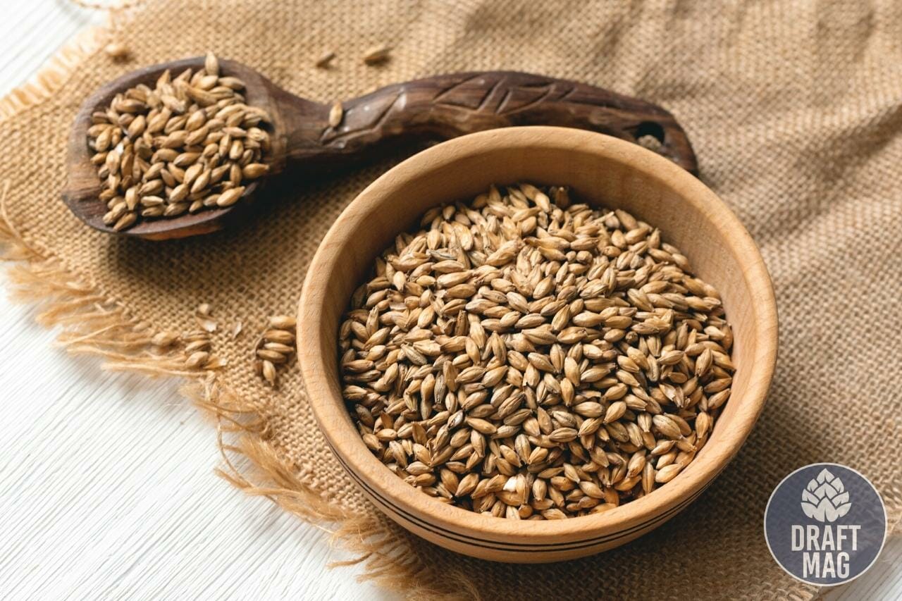 What is dextrin malt