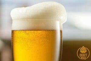 Witbier: A Silky Smooth Belgian White Beer That Runs High on Wheat