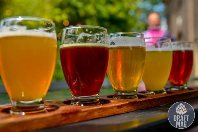 Best Porter Beer: The Ultimate List of Top-rated Porters