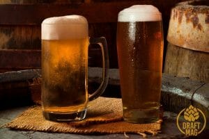 What Is IBU Beer: The Ultimate Bitterness Guide for All Beer Styles