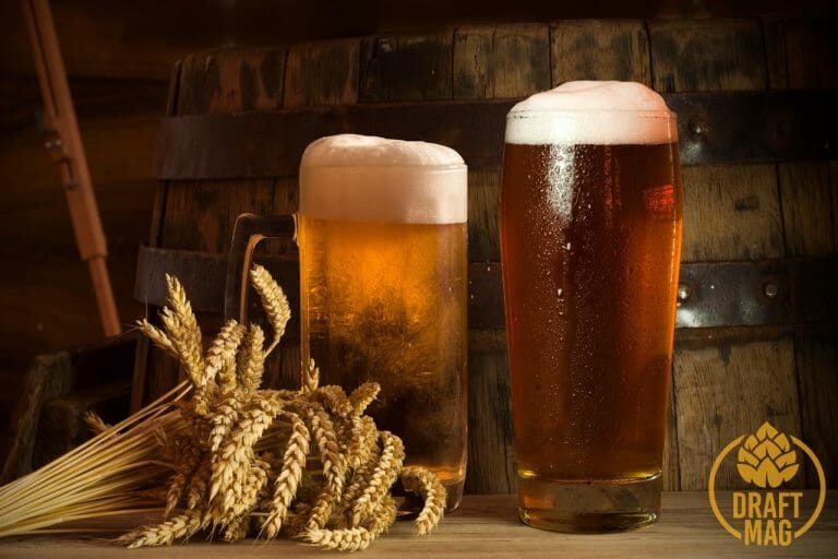 What Is IBU Beer Everything You Need To Know About Bitterness Index