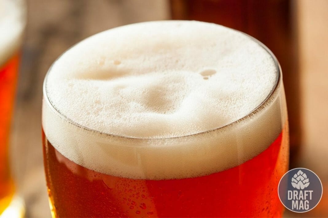 American Amber Lager A Detailed Guide On The Best Lager Beer