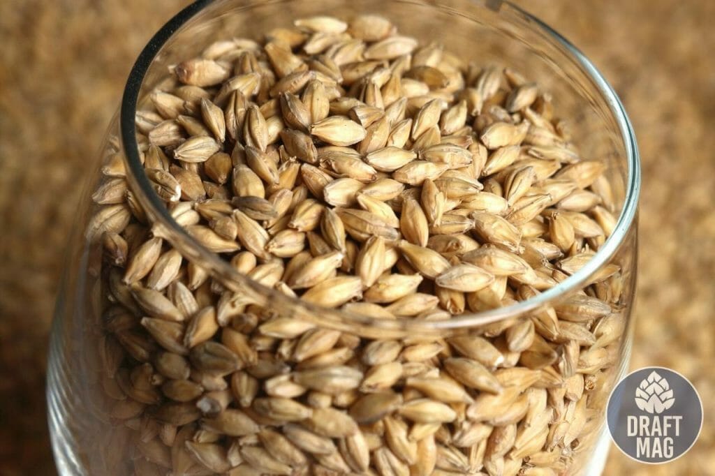 What Does Malt Taste Like A Complete Guide to This Beer Ingredient