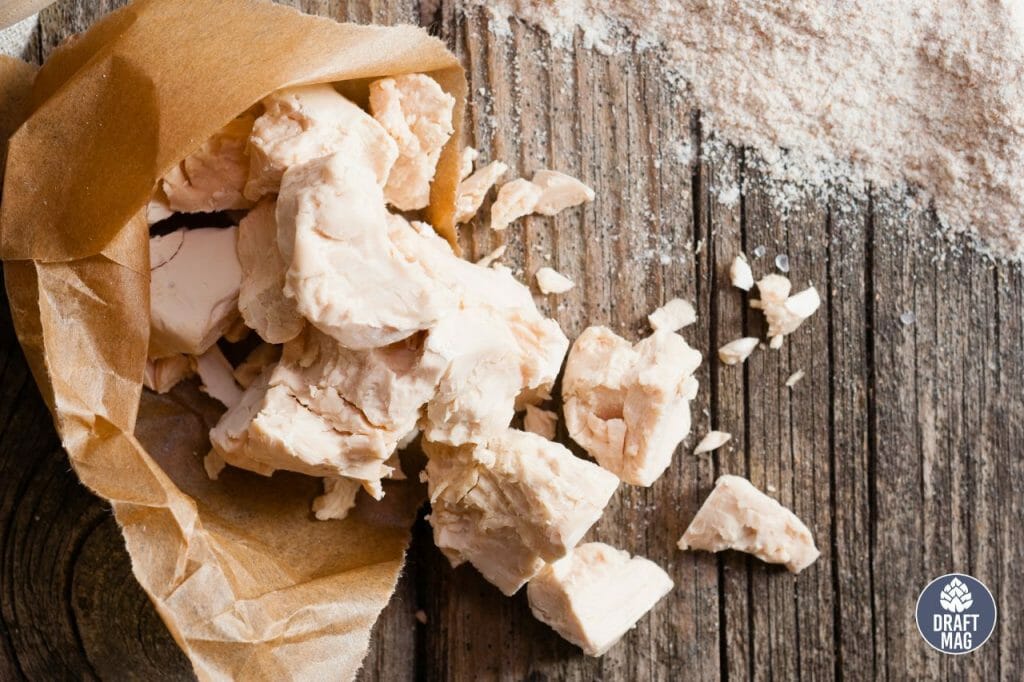 Bakers Yeast vs Brewers Yeast Complete Guide to the Main Differences