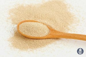 Bakers Yeast vs Brewers Yeast dry yeast in the spoon