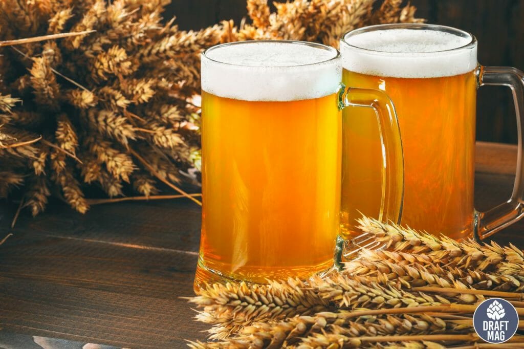 Polish Beer A List of the Best Beers From Poland You Must Try