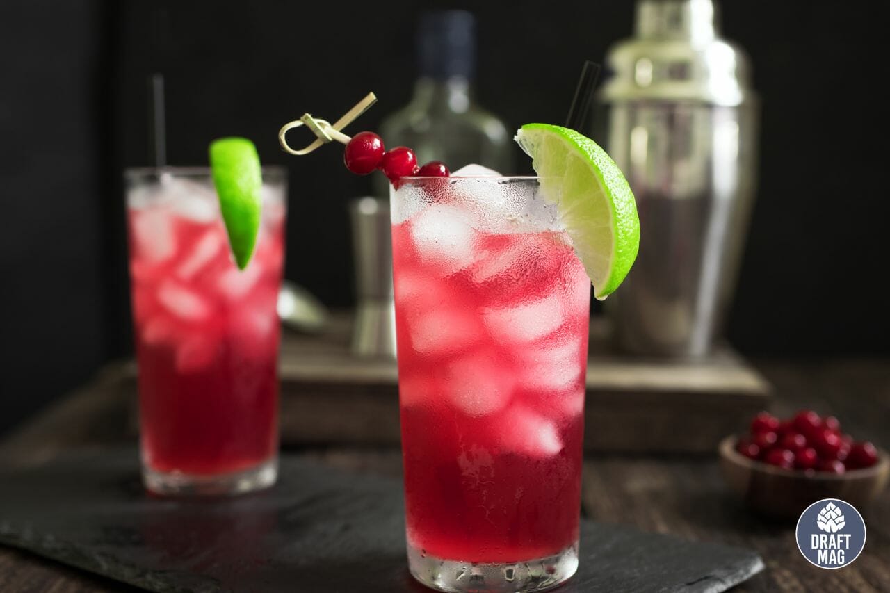 Vodka Beer Cocktail: Perfect Boozy Recipes for Your Next Party