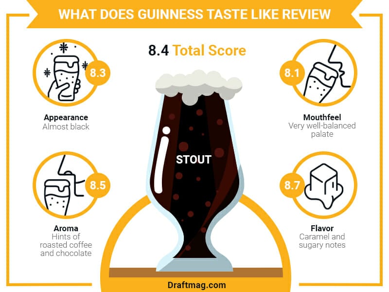 What Does Guinness Taste Like Infographic