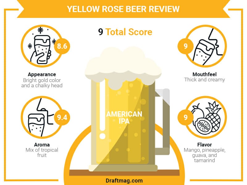 Yellow Rose Beer Infographic