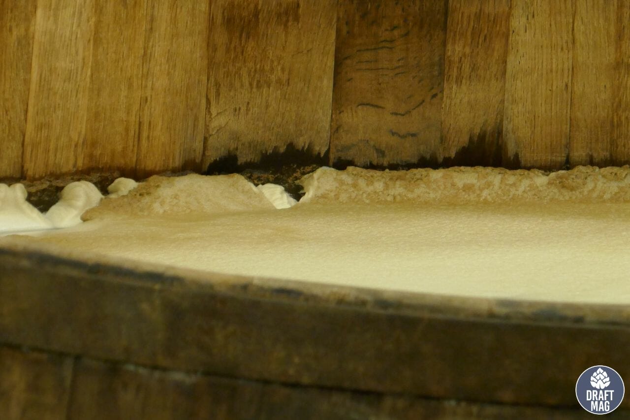What Is Krausen? A Guide to the Definition and Use in Beermaking