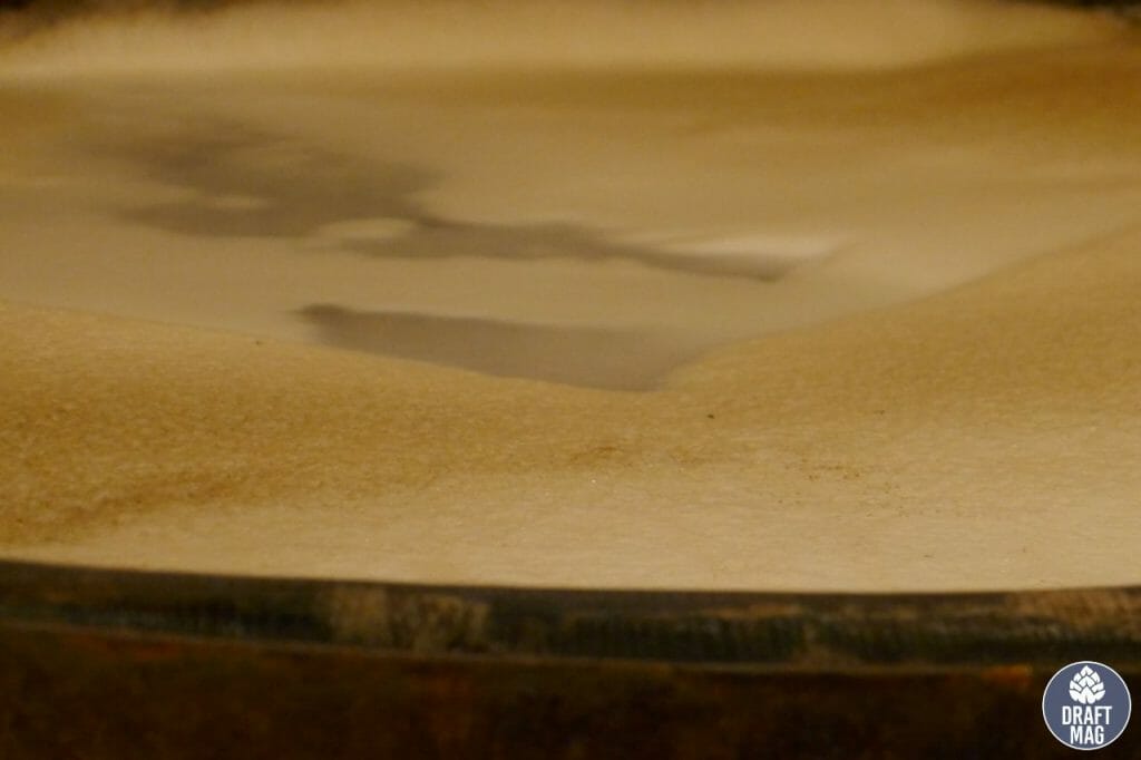 What Is Krausen? A Guide to the Definition and Use in Beermaking