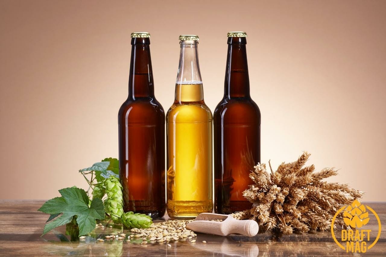 Pacifico Beer Review A Guide to the Best Mexican Pilsnerstyle Lager