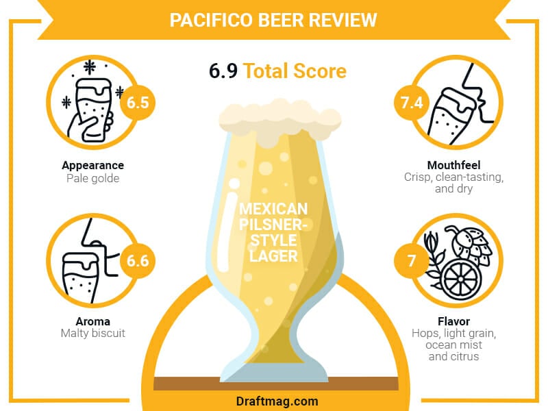 Pacifico Beer Review Infographic