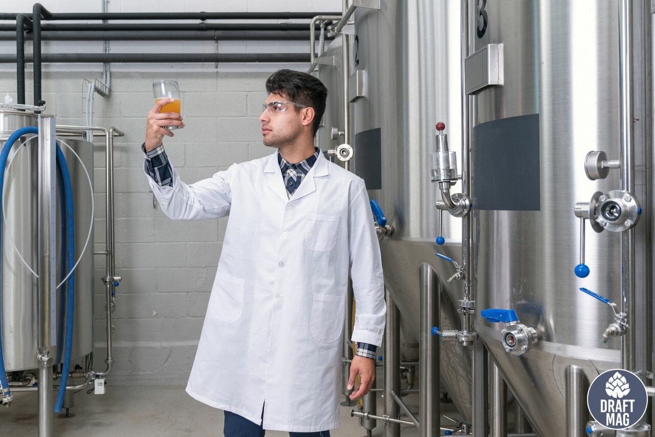 Blichmann Fermenator Blichmann Engineering G4 Conical Review