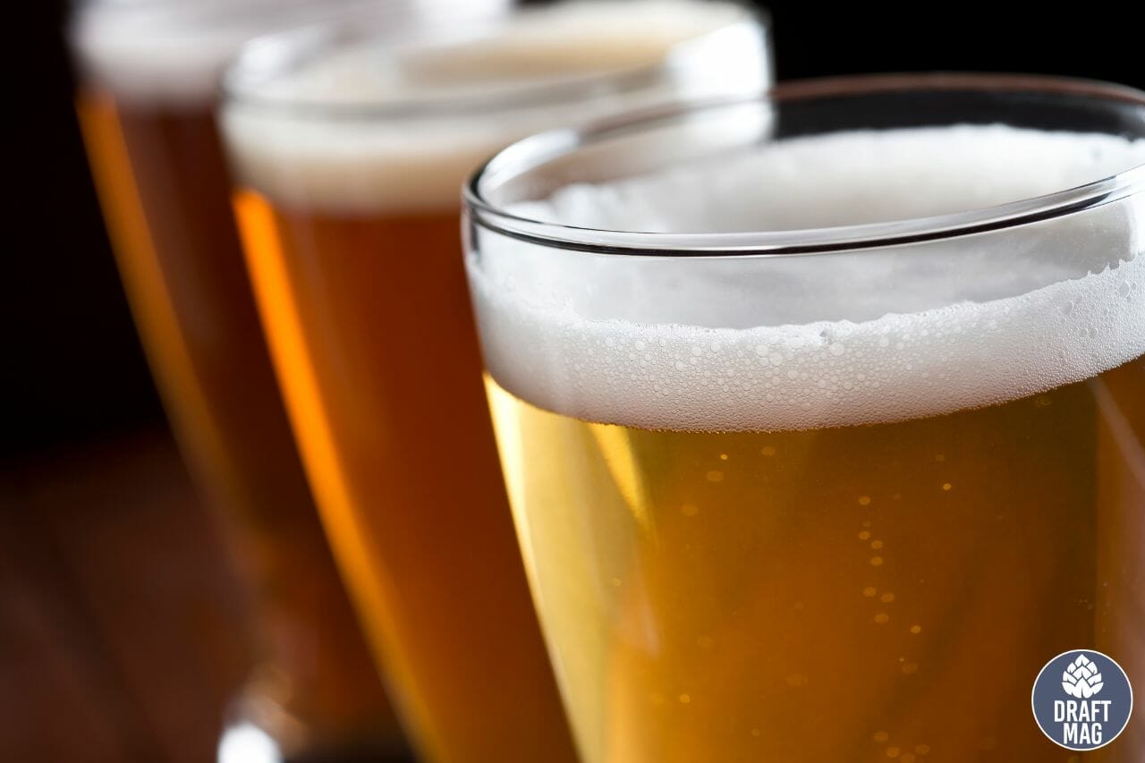 3.2 Beer An Expertcurated Guide to This Lowalcohol Brew