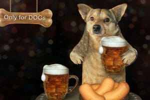 Beer Names for Dogs Bomber