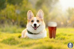Beer Names for Dogs Ellie