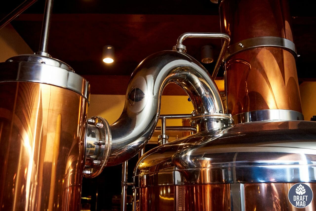 Big Dog Brewery Indepth Review Everything You Need To Know