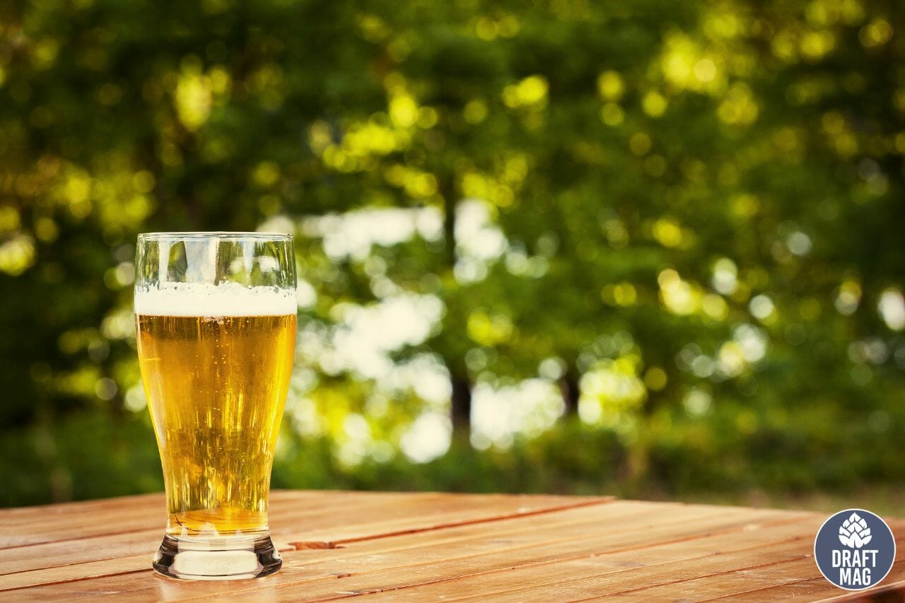 Best Breweries in Longmont CO Mustvisit Brewpubs in Colorado