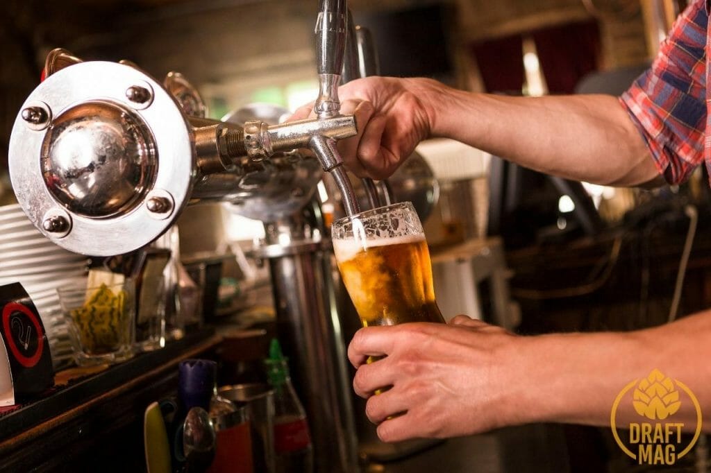 Electric Jellyfish IPA A Review of the Top Beer for All Hop Heads