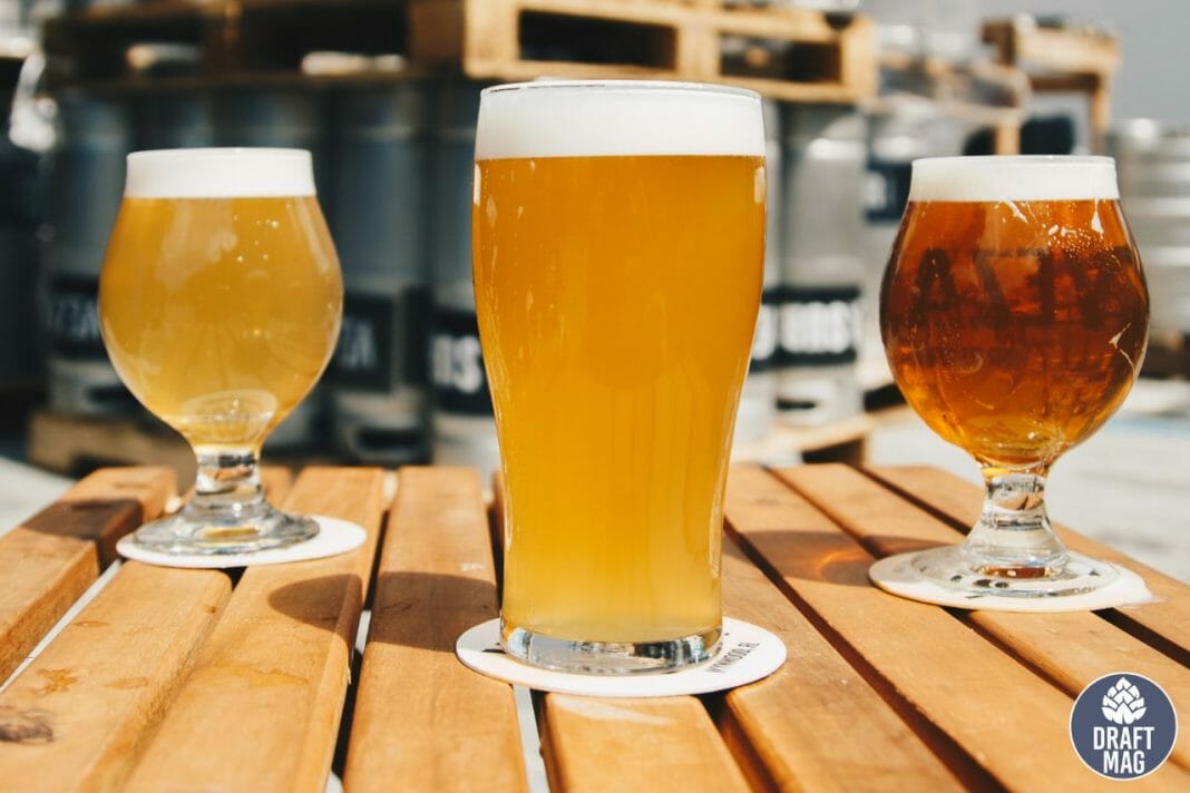 What Is a Hazy Ipa? The Best of These Special Brews on the Market