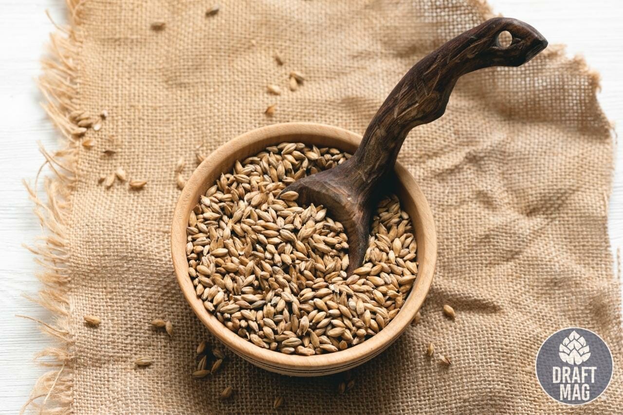 King Cobra Malt Liquor A Detailed Review of This Malty Lager