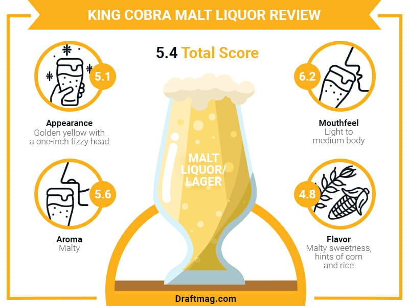 King Cobra Malt Liquor Review Infographic